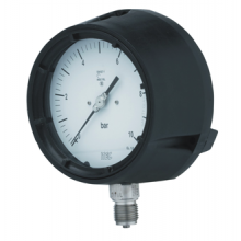 P101 Pressure Gauges