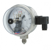 P101 Pressure Gauges