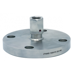 D202 flanged diaphragm seal