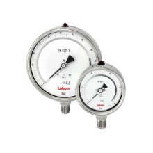 P101 Pressure Gauges