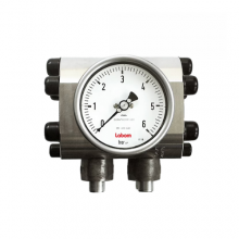 P101 Pressure Gauges