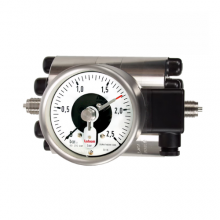 P101 Pressure Gauges